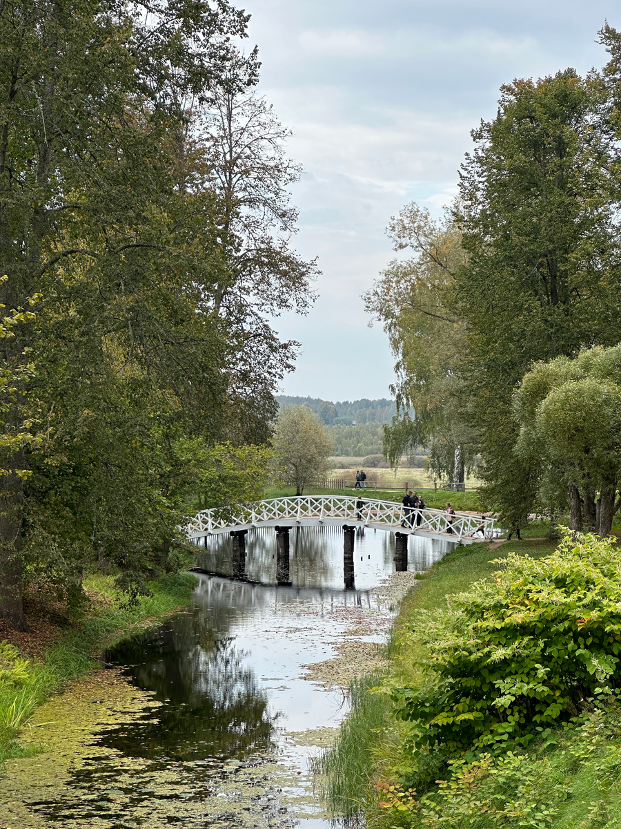 Михайловское. Фото из личной коллекции автора.