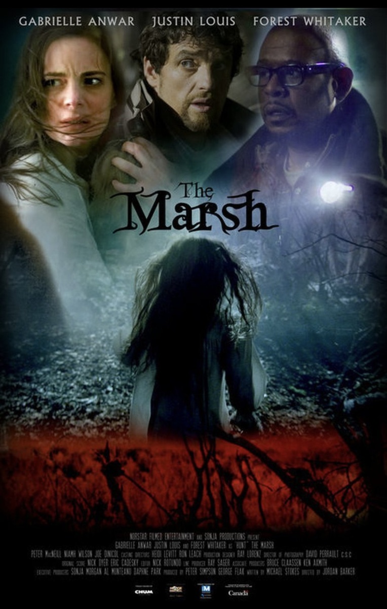 Всю жизнь Клэр Холлоуэй преследуют кошмарные сны. В надежде избавиться от страшных видений, Клэр, следуя совету своего врача, отправляется в отпуск в деревню. 
