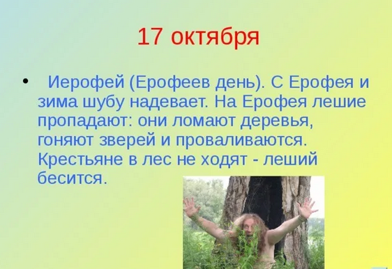 Фото из открытого источника
