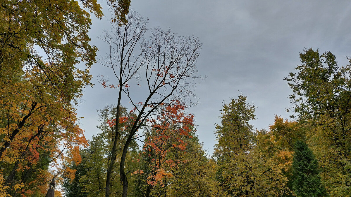 Золотая осень