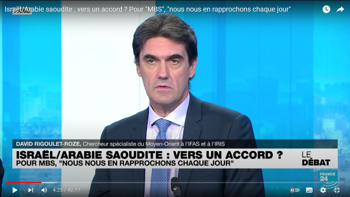 Давид Риголе-Роз. Скриншот из передачи на France24, с канала France24 в YouTube.