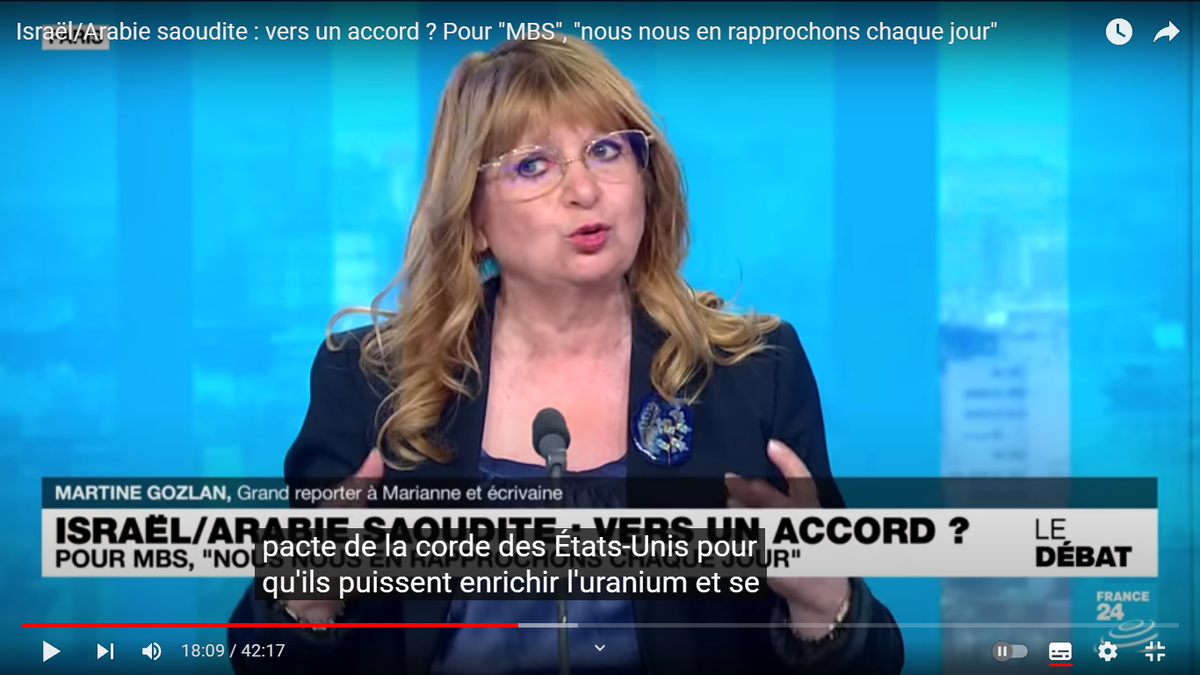 Мартин Гозлан. Скриншот из передачи на France24, с канала France24 в YouTube.