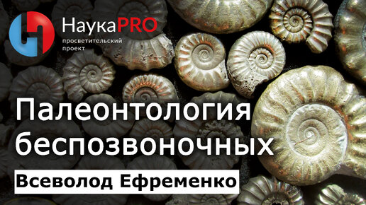 Что беспозвоночные могут рассказать о прошлом? – Всеволод Ефременко | Лекции по палеонтологии