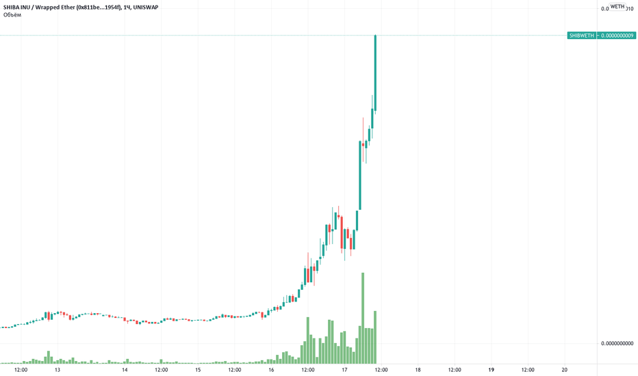 Рост Shiba Inu за год