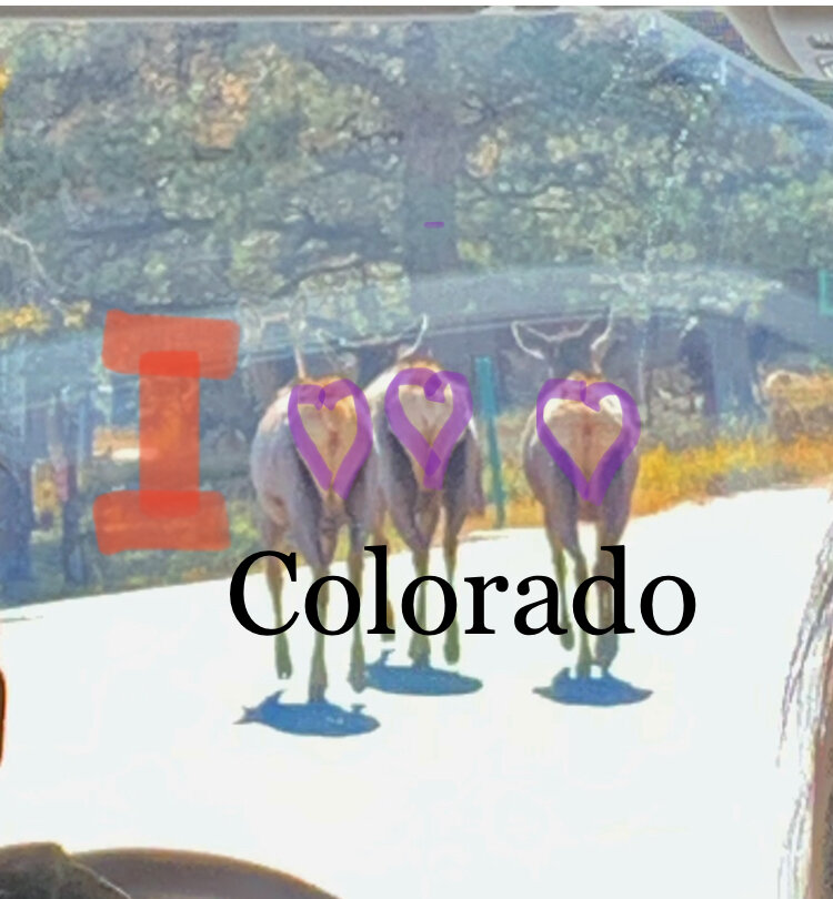 Фото из архивов автора