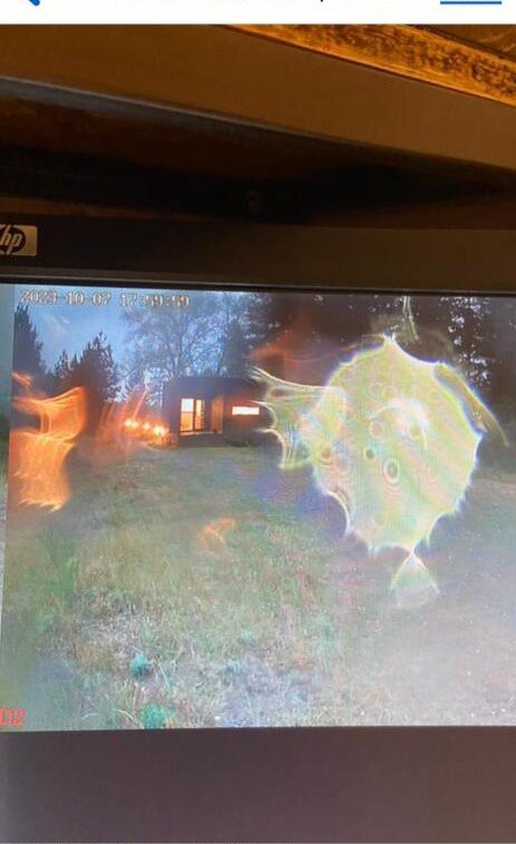 фото из архива автора