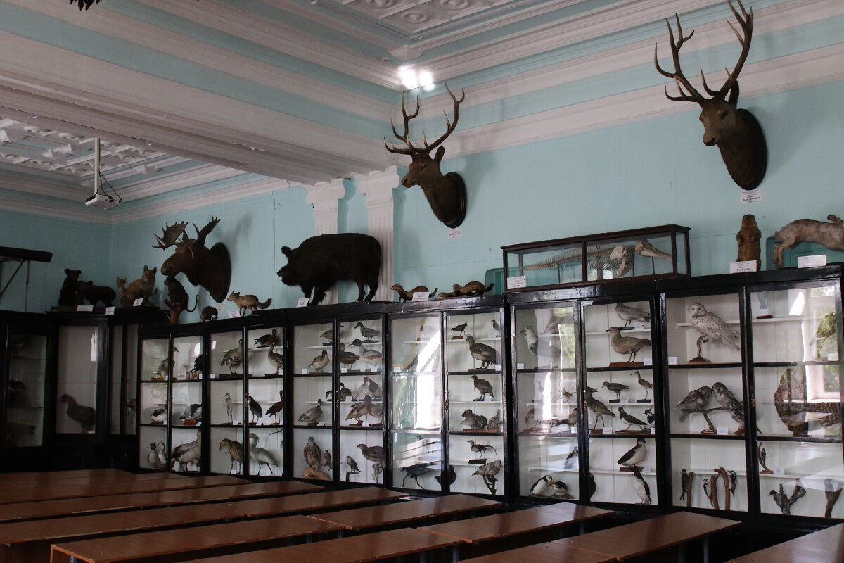 Музей зоологии позвоночных им. В.Ч. Дорогостайского