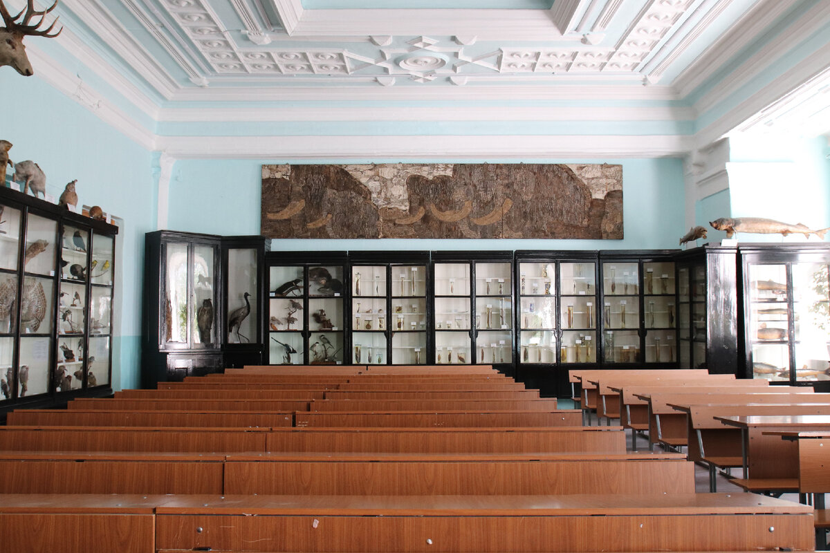 Музей зоологии позвоночных им. В.Ч. Дорогостайского