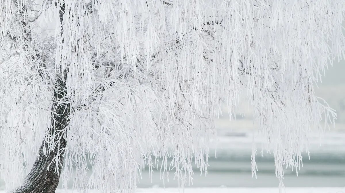 Приближается Новый год и Рождество. Фото: pxhere.com