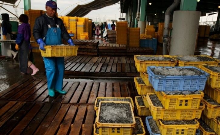 Японские рыбаки (иллюстрация из открытых источников)