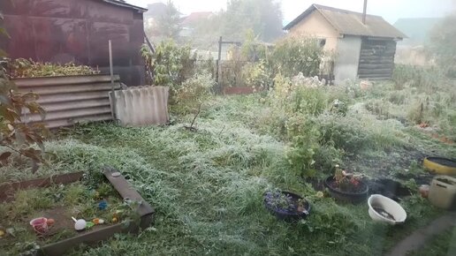 У нас в деревне все свое.