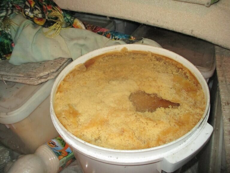    Ни маркировки, ни документов. В Оренбуржье пресекли попытки вывоза 1,5 тонн меда Кристина Просвиркина