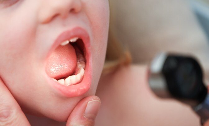 Фото: Christian Charisius/dpa/Globallookpress