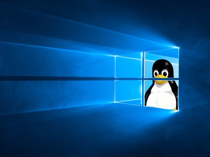    Windows 11 и Linux сравнили в играх. Результат «пингвина» впечатляет