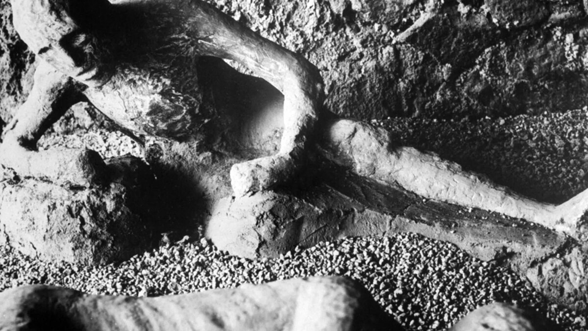 Когда в 79 году нашей эры произошло катастрофическое извержение Везувия, близлежащий римский город Помпеи был погребен под несколькими метрами пепла и камней. Разрушенный город оставался нетронутым, пока его не обнаружил инженер-геодезист в 1748 году. Открытый источник