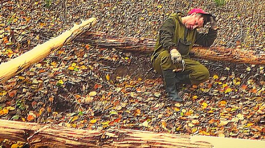 ОШИБСЯ В РАСЧЕТАХ! АНДРЕЙ, ГДЕ РАКИ! | RomanDAY | Дзен