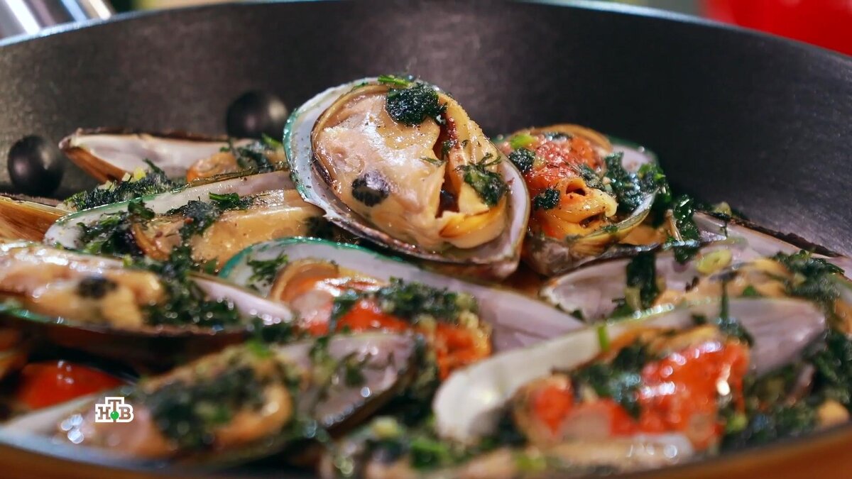    Мидии: все о пользе и вреде моллюсков