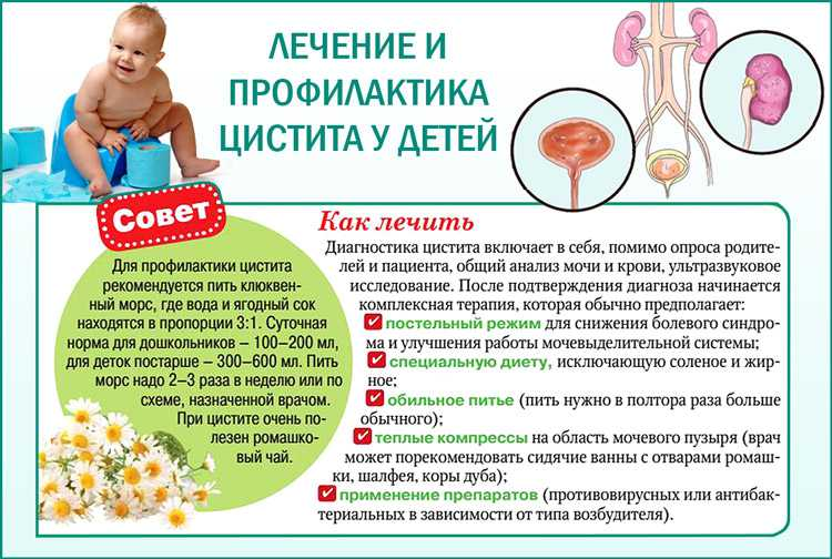 Цистит у детей 7 лет. Профилактика цистита. Профилактика цистита памятка. Цистит у детей. Цистит у детей симптомы.