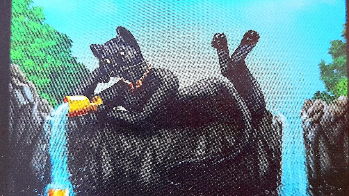 Ты прекрасна, спору нет