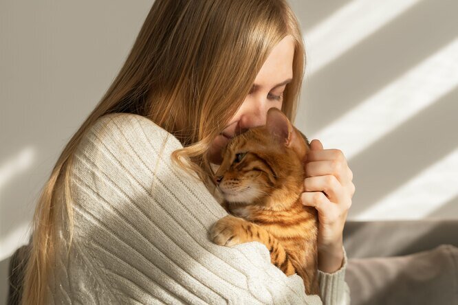 ФОТО: LEGION-MEDIA