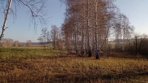 Металлолом валяется под ногами