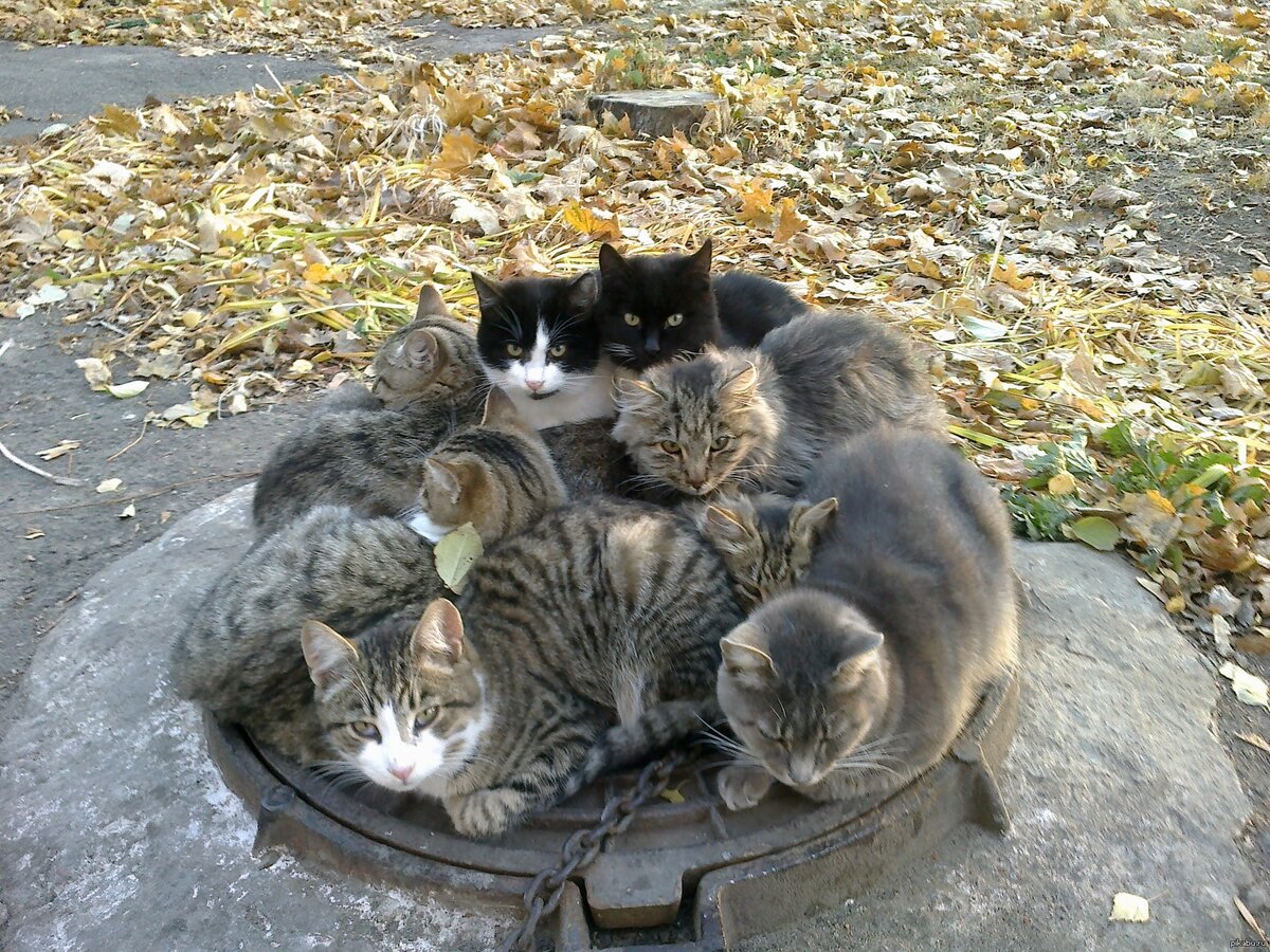 Источник: Яндекс картинки