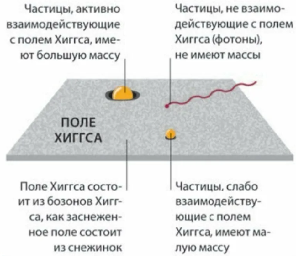 Частица имеющая. Поле Хиггса. Поле Хиггса простыми словами. Механизм Хиггса. Потенциал поля Хиггса.