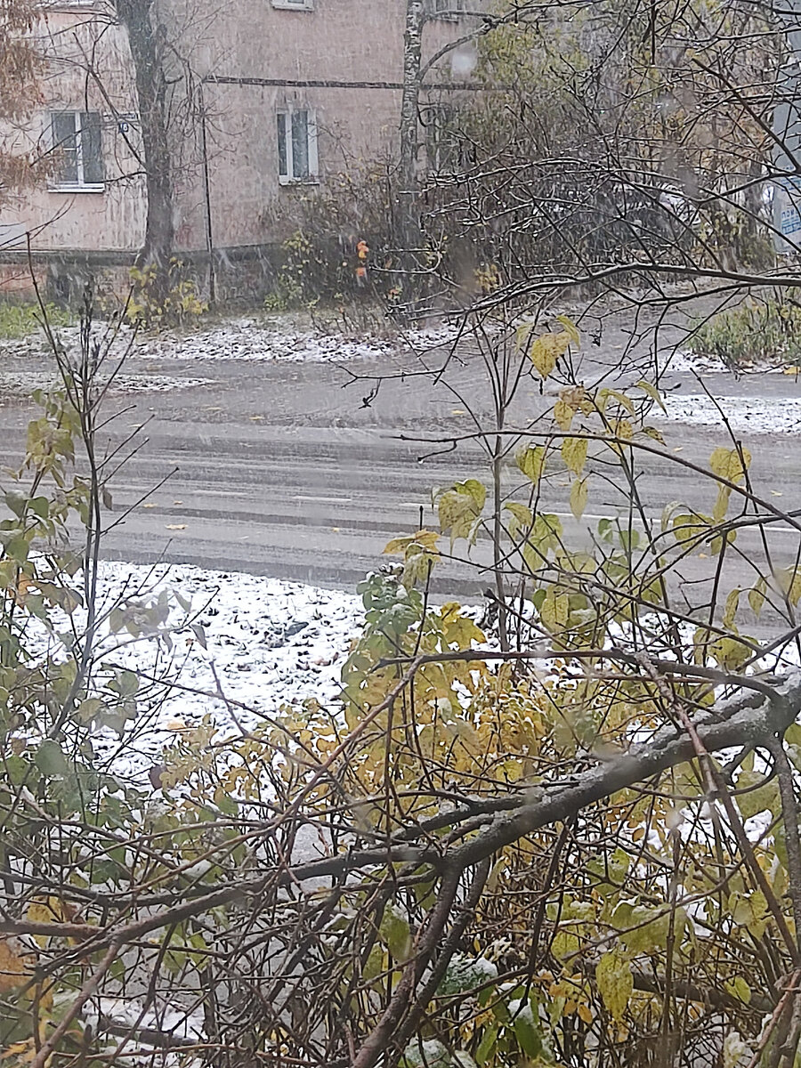 Жаль, что на фотке не видно, как летят снежинки!