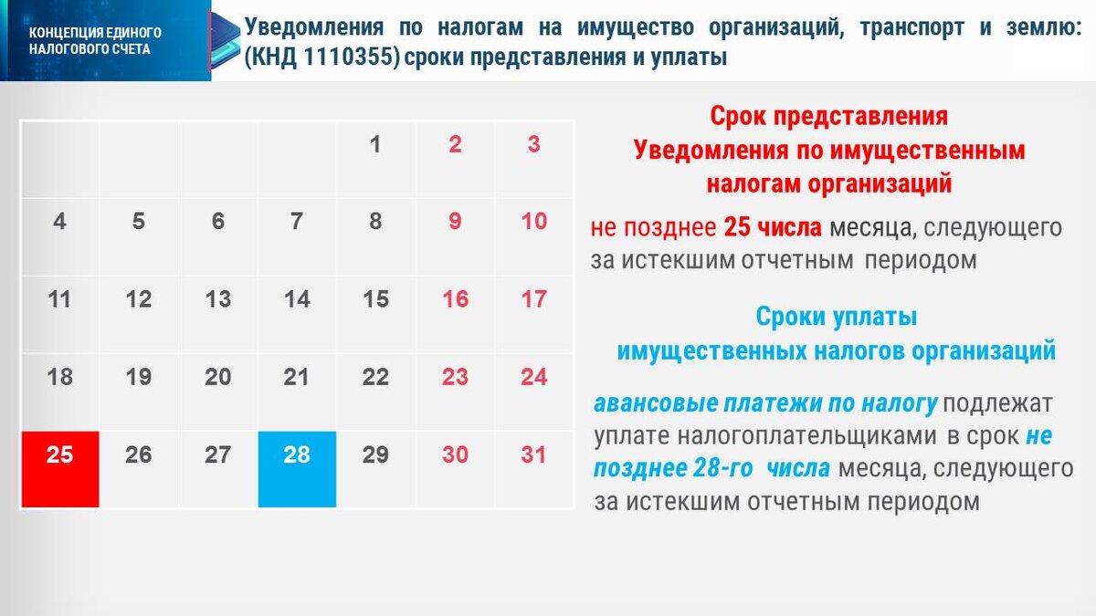 Какие уведомления подаем в январе