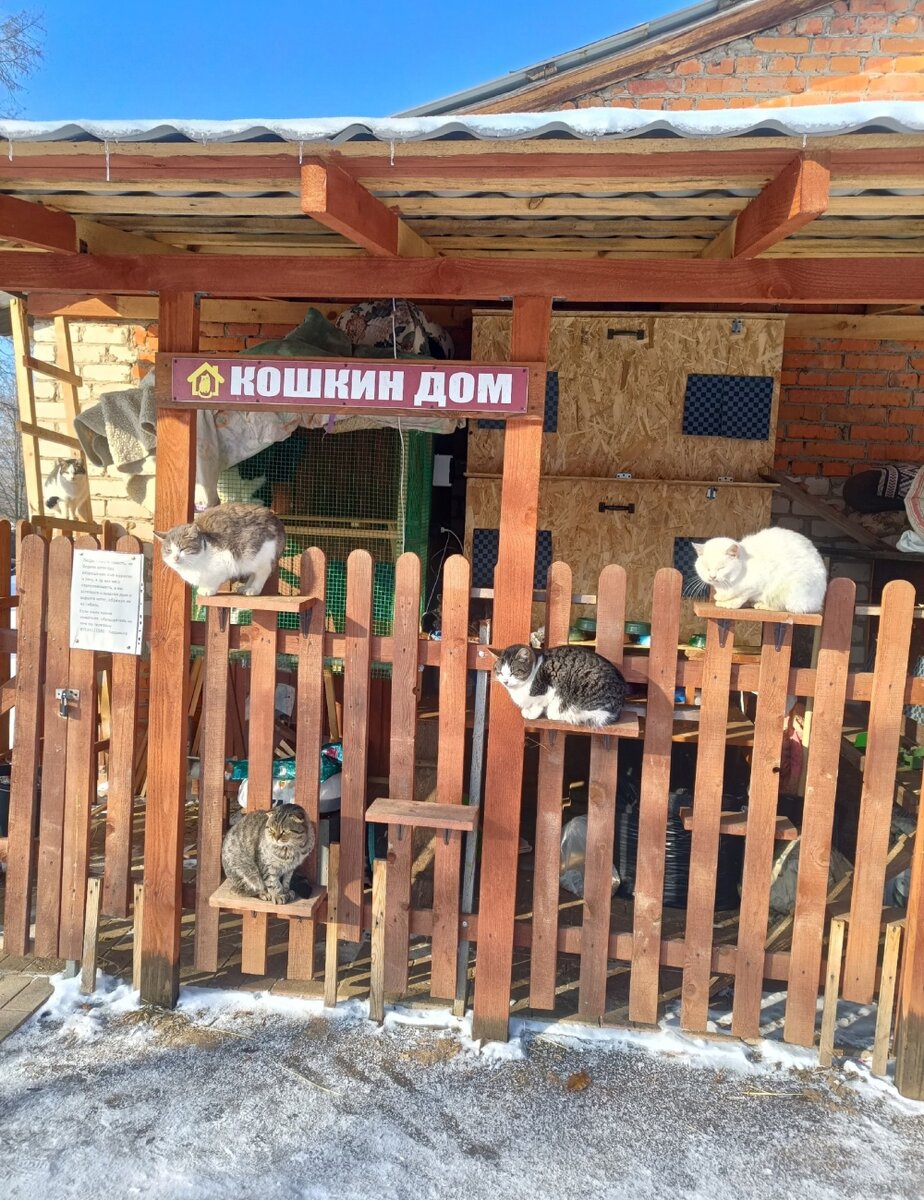    Февраль 2023 г. Ничто не предвещало беды. Фото: Страница во "Вконтакте" СП Совхоз "Боровский"