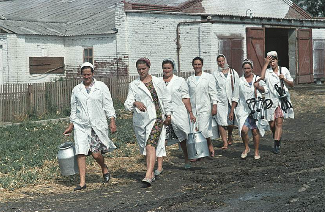 Село колхоз. Колхоз СССР. Колхозы и Совхозы. Совхозы и колхозы 1990 года. Советский Совхоз.