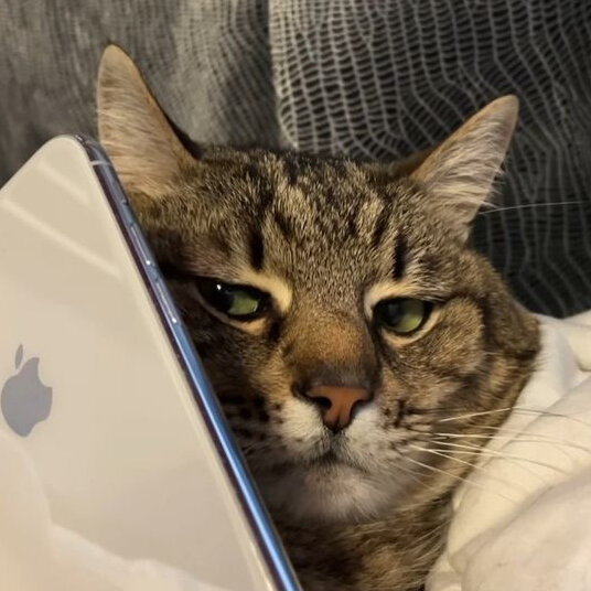 Источник: pinterest.com