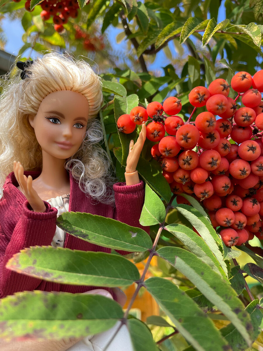 Милли (молд "Милли", Barbie BMR1959)