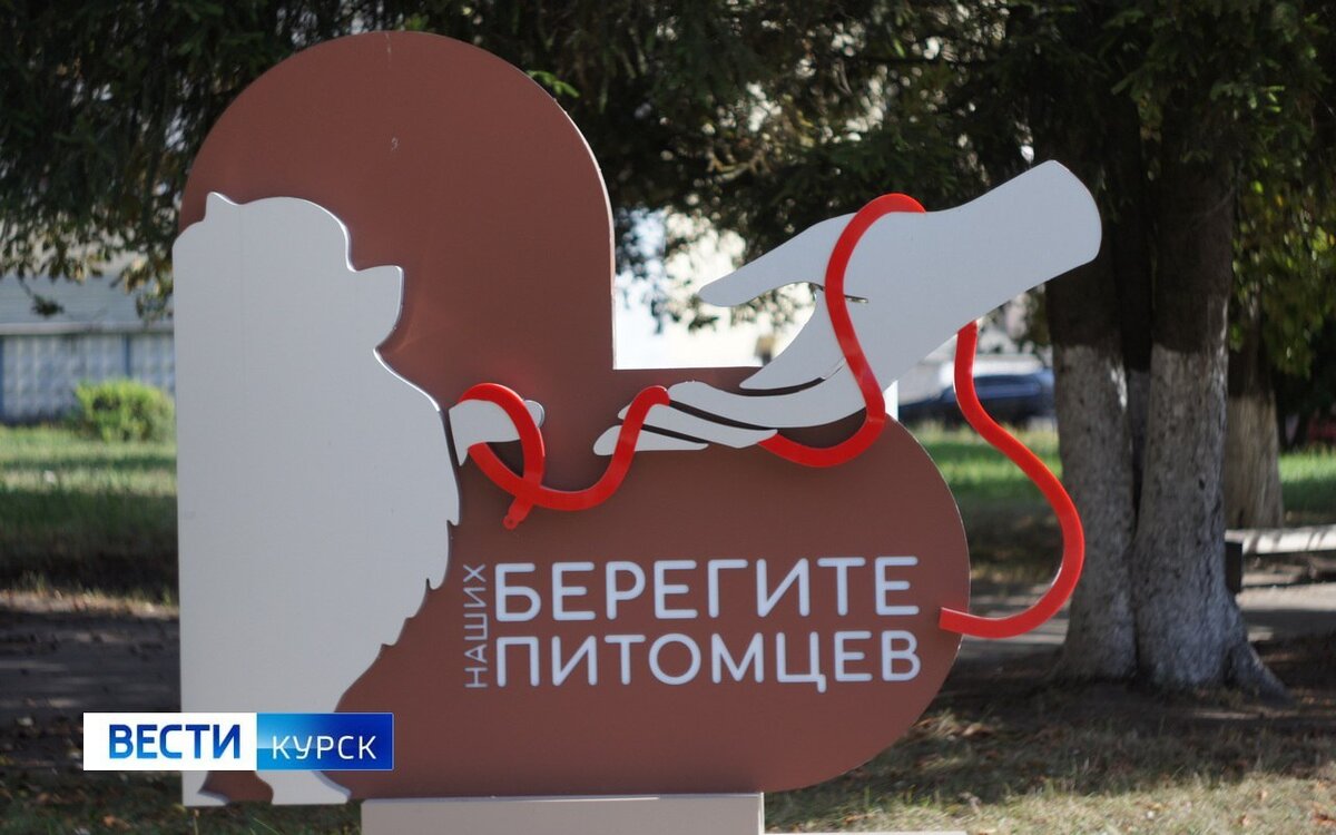    В Курской области прокуратура судится с администрацией из-за отсутствия мест для выгула собак