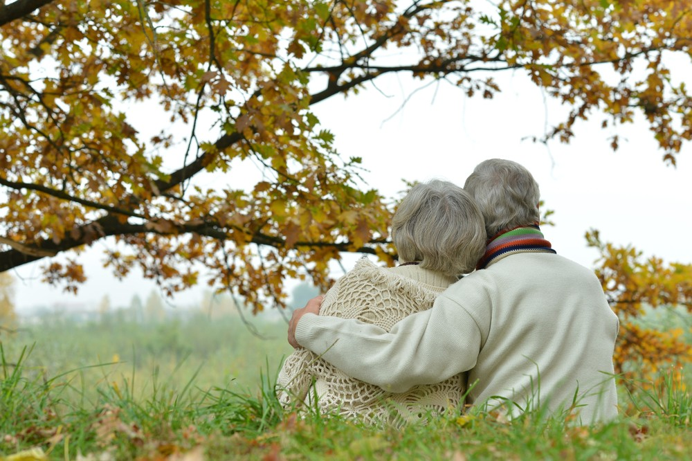 Яндекс.Картинки.