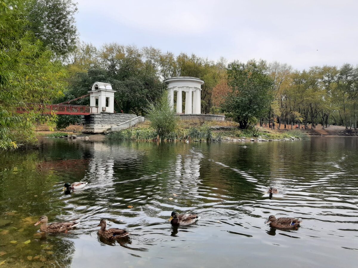 Уточкам не нужна зарплата, но даже они подплывают к берегу, когда хотят, чтобы их покормили.            Точка зрения работодателя – если чувак работает за эту зарплату и ничего не просит, зачем платить больше? На самом деле наша зарплата – в наших руках.