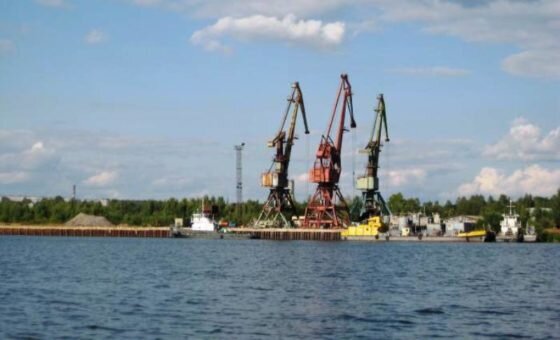     Фото: Портал государственных органов Костромской области