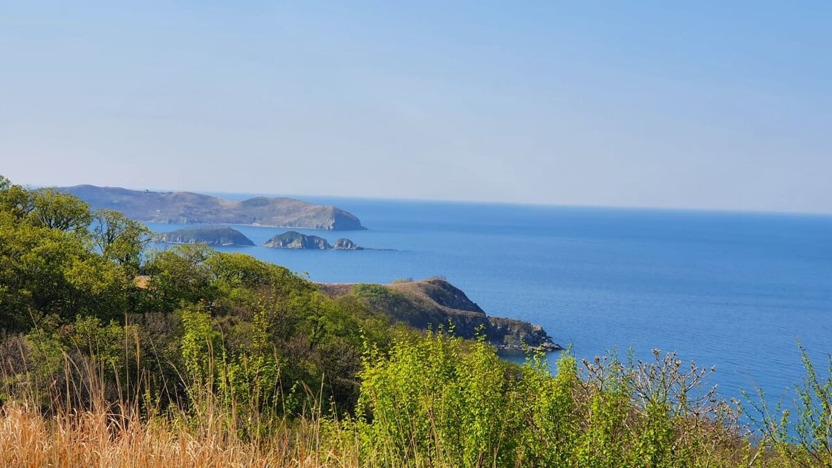     В будущем городе-спутнике Владивостока будет построен специальный кампус для китайских студентов. Там они будут обучаться русскому языку, заявил глава Минвостокразвития Алексей Чекунков.