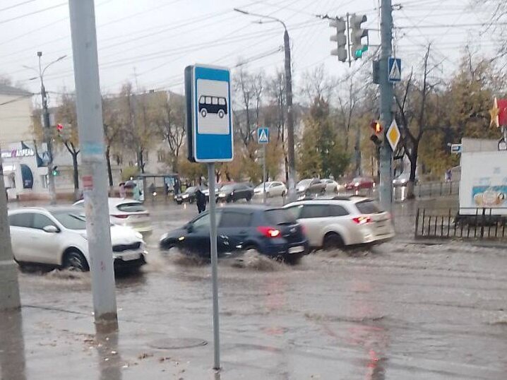    Фото: t.me/v_kurse_nn Анастасия Красушкина