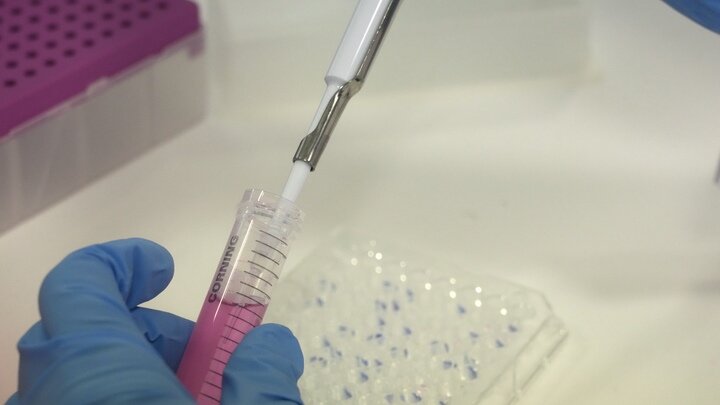 ФОТО: H.BILBAO/GLOBALLOOKPRESS