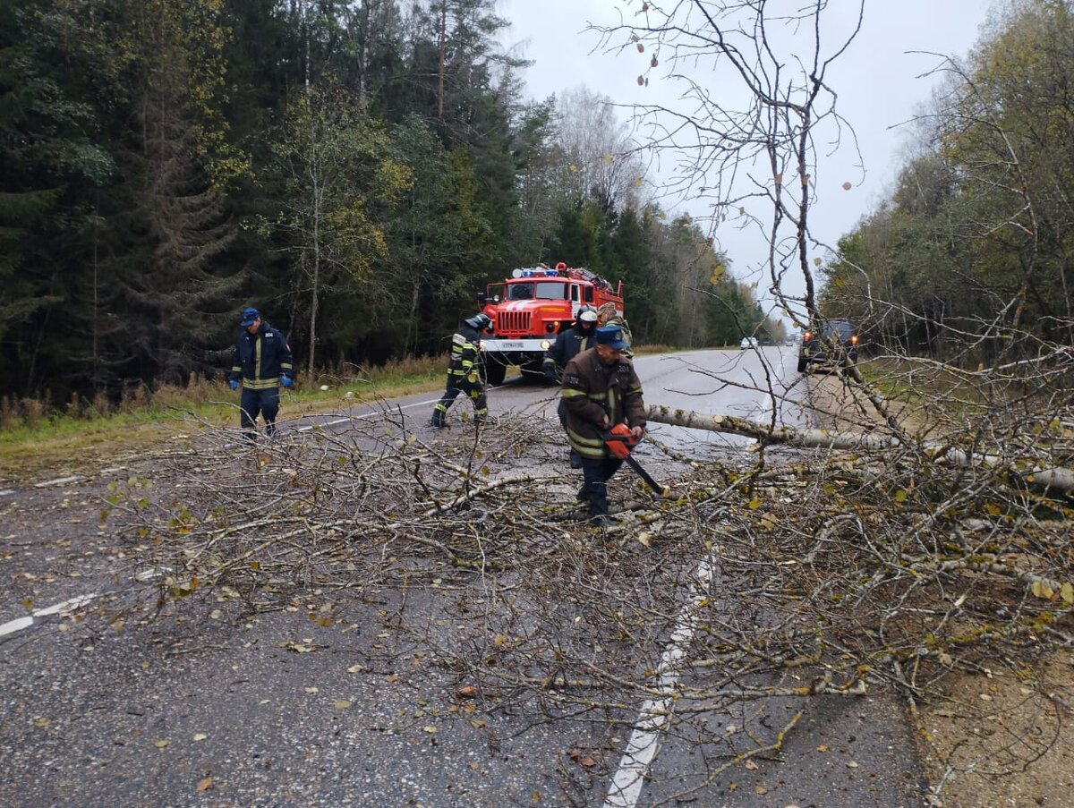 За это время работники службы спасли и оказали помощь десяткам тысяч людей, потушили сотни тысяч пожаров! Ее сотрудники всегда на переднем рубеже, они первыми приходят на помощь. 