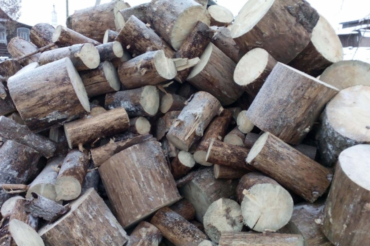    В агентстве лесного хозяйства в Бурятии прокомментировали рост цен на дрова