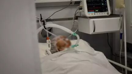     За минувшую неделю на территории Тюменской области были госпитализированы 23 пациента с коронавирусом. Это на 11 человек меньше, чем в предыдущий период.