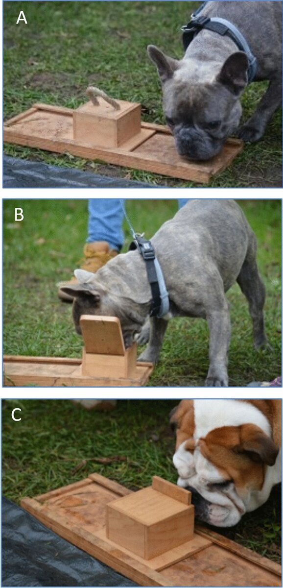 Фото проведения эксперимента. Опубликовано в Scientific Reports