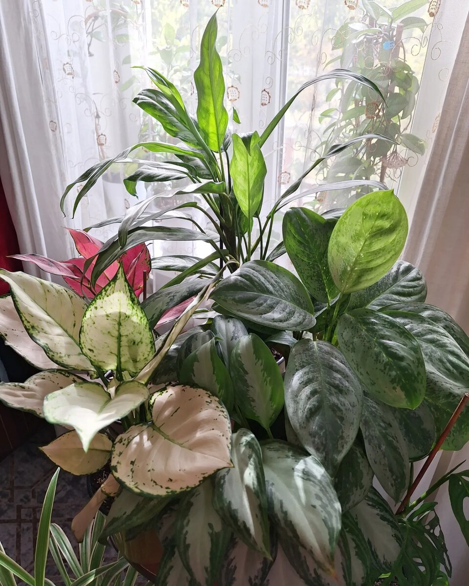 Пока их у меня пять.