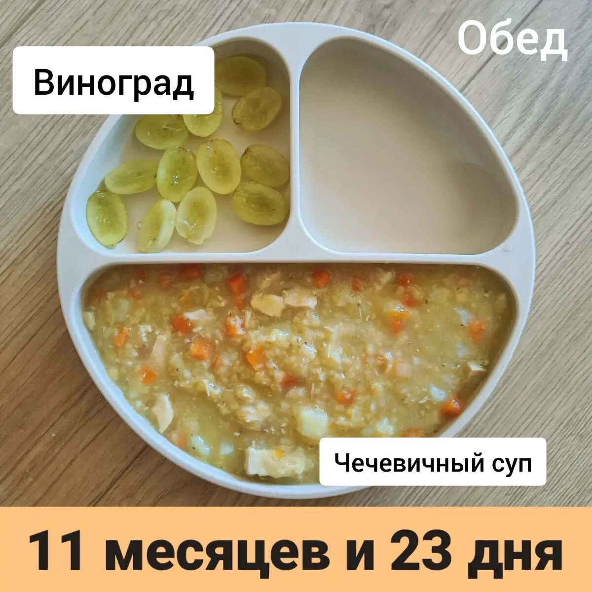 Пример тарелки в 11 месяцев 