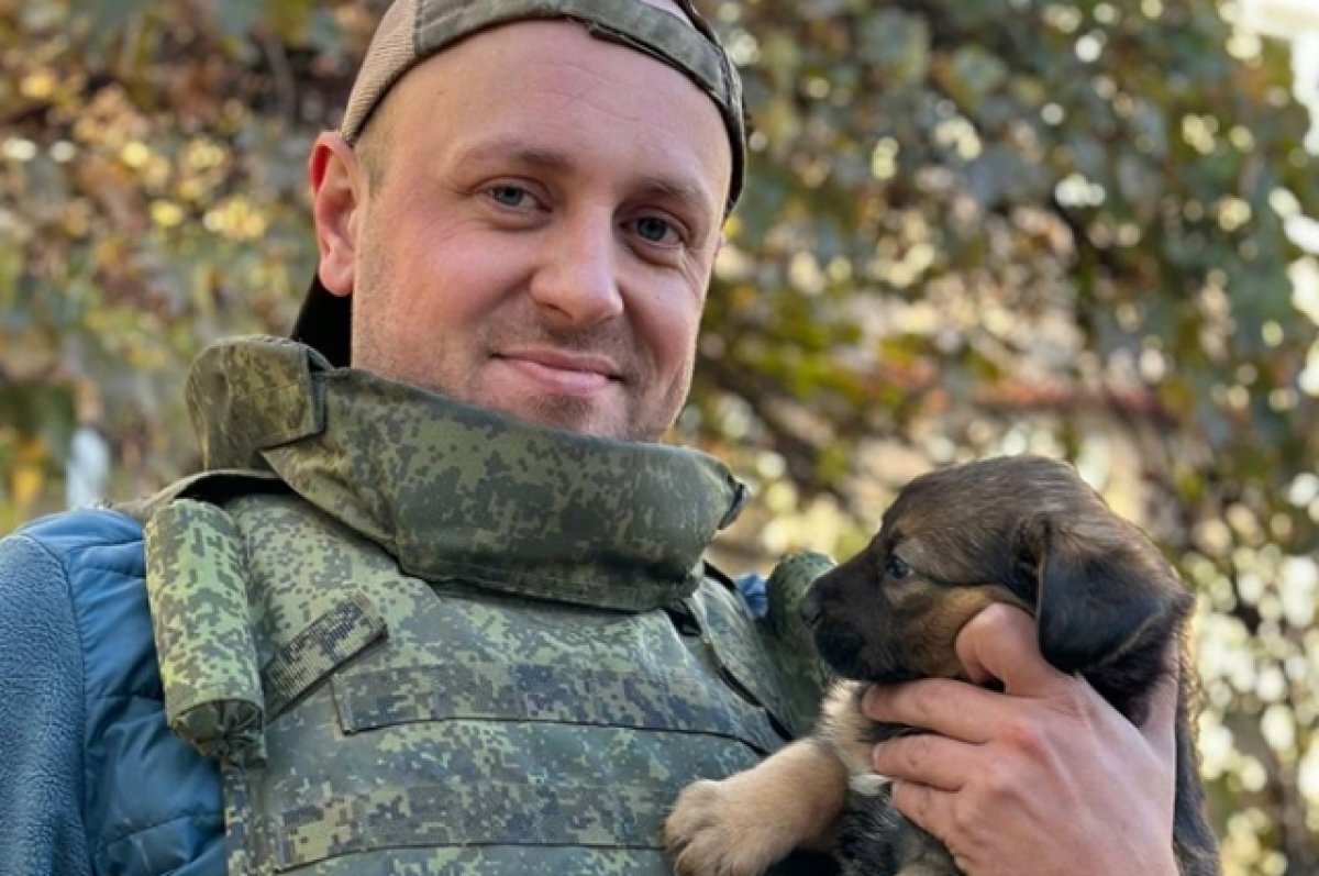    Пес по кличке Сэм нашел новый дом в городе Шахты Ростовской области.