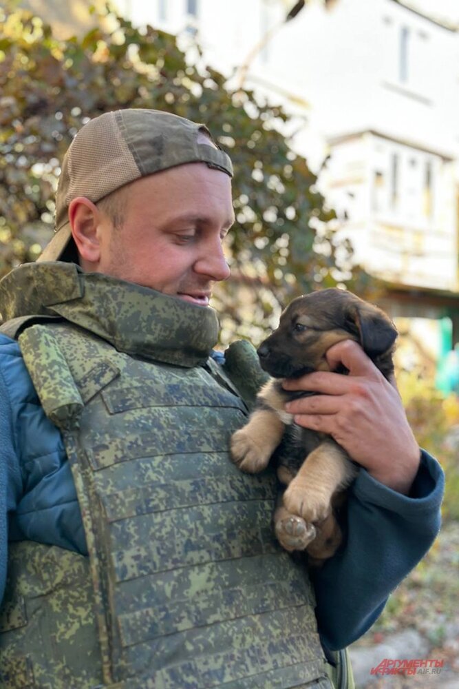    Фото:  АиФ/ Дмитрий Григорьев