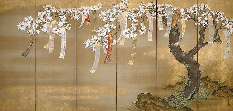 Тоса Мицуоки. «Цветущая сакура, рдеющие клёны и свитки с поэзией», институт искусств Чикаго