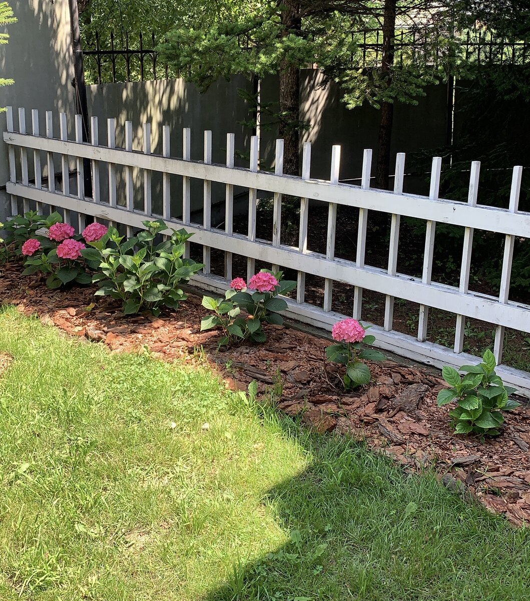 Очей очарование 